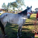 Milhares de cavaleiros e amazonas manteve o legado na 18ª edição da Cavalgada do Boinha 290