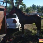 Milhares de cavaleiros e amazonas manteve o legado na 18ª edição da Cavalgada do Boinha 599