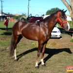 Milhares de cavaleiros e amazonas manteve o legado na 18ª edição da Cavalgada do Boinha 606