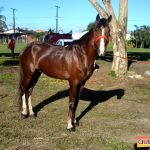 Milhares de cavaleiros e amazonas manteve o legado na 18ª edição da Cavalgada do Boinha 438