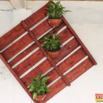 Country Clube de Eunápolis o lugar ideal para você se divertir com familiares e amigos 109