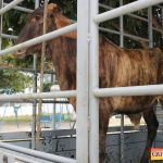 Country Clube de Eunápolis o lugar ideal para você se divertir com familiares e amigos 30