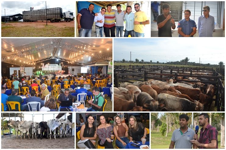 3º Leilão Fazendas Reunidas Cariri, Haras Cheval & Convidados 10