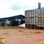 3º Leilão Fazendas Reunidas Cariri, Haras Cheval & Convidados 158