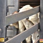 3º Leilão Fazendas Reunidas Cariri, Haras Cheval & Convidados 157