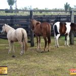 3º Leilão Fazendas Reunidas Cariri, Haras Cheval & Convidados 312