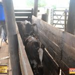3º Leilão Fazendas Reunidas Cariri, Haras Cheval & Convidados 99