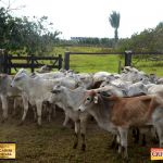 3º Leilão Fazendas Reunidas Cariri, Haras Cheval & Convidados 246