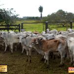 3º Leilão Fazendas Reunidas Cariri, Haras Cheval & Convidados 244