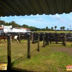 3º Leilão Fazendas Reunidas Cariri, Haras Cheval & Convidados 132