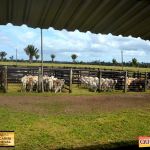 3º Leilão Fazendas Reunidas Cariri, Haras Cheval & Convidados 82