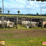 3º Leilão Fazendas Reunidas Cariri, Haras Cheval & Convidados 278
