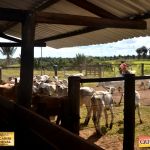 3º Leilão Fazendas Reunidas Cariri, Haras Cheval & Convidados 315