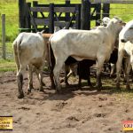 3º Leilão Fazendas Reunidas Cariri, Haras Cheval & Convidados 212
