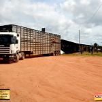 3º Leilão Fazendas Reunidas Cariri, Haras Cheval & Convidados 141