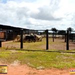 3º Leilão Fazendas Reunidas Cariri, Haras Cheval & Convidados 258