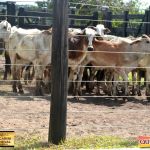 3º Leilão Fazendas Reunidas Cariri, Haras Cheval & Convidados 225
