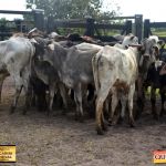 3º Leilão Fazendas Reunidas Cariri, Haras Cheval & Convidados 65