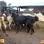 3º Leilão Fazendas Reunidas Cariri, Haras Cheval & Convidados 217