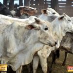 3º Leilão Fazendas Reunidas Cariri, Haras Cheval & Convidados 169