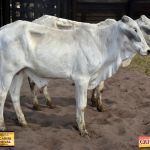 3º Leilão Fazendas Reunidas Cariri, Haras Cheval & Convidados 194