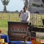 3º Leilão Fazendas Reunidas Cariri, Haras Cheval & Convidados 15