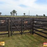 3º Leilão Fazendas Reunidas Cariri, Haras Cheval & Convidados 36