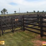 3º Leilão Fazendas Reunidas Cariri, Haras Cheval & Convidados 135