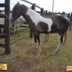 3º Leilão Fazendas Reunidas Cariri, Haras Cheval & Convidados 285