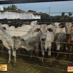 3º Leilão Fazendas Reunidas Cariri, Haras Cheval & Convidados 66