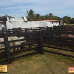 3º Leilão Fazendas Reunidas Cariri, Haras Cheval & Convidados 118