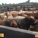 3º Leilão Fazendas Reunidas Cariri, Haras Cheval & Convidados 115
