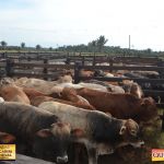 3º Leilão Fazendas Reunidas Cariri, Haras Cheval & Convidados 218