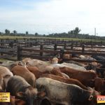 3º Leilão Fazendas Reunidas Cariri, Haras Cheval & Convidados 117