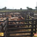 3º Leilão Fazendas Reunidas Cariri, Haras Cheval & Convidados 250