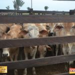 3º Leilão Fazendas Reunidas Cariri, Haras Cheval & Convidados 290