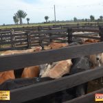 3º Leilão Fazendas Reunidas Cariri, Haras Cheval & Convidados 31