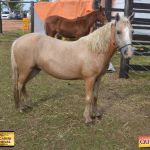 3º Leilão Fazendas Reunidas Cariri, Haras Cheval & Convidados 211
