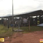 3º Leilão Fazendas Reunidas Cariri, Haras Cheval & Convidados 40