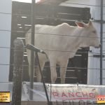 3º Leilão Fazendas Reunidas Cariri, Haras Cheval & Convidados 233