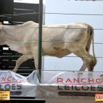 3º Leilão Fazendas Reunidas Cariri, Haras Cheval & Convidados 19
