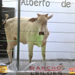 3º Leilão Fazendas Reunidas Cariri, Haras Cheval & Convidados 77