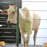 3º Leilão Fazendas Reunidas Cariri, Haras Cheval & Convidados 76