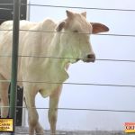 3º Leilão Fazendas Reunidas Cariri, Haras Cheval & Convidados 64