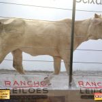 3º Leilão Fazendas Reunidas Cariri, Haras Cheval & Convidados 63