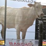 3º Leilão Fazendas Reunidas Cariri, Haras Cheval & Convidados 13