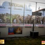 3º Leilão Fazendas Reunidas Cariri, Haras Cheval & Convidados 186