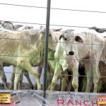 3º Leilão Fazendas Reunidas Cariri, Haras Cheval & Convidados 87