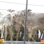 3º Leilão Fazendas Reunidas Cariri, Haras Cheval & Convidados 274