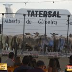 3º Leilão Fazendas Reunidas Cariri, Haras Cheval & Convidados 289